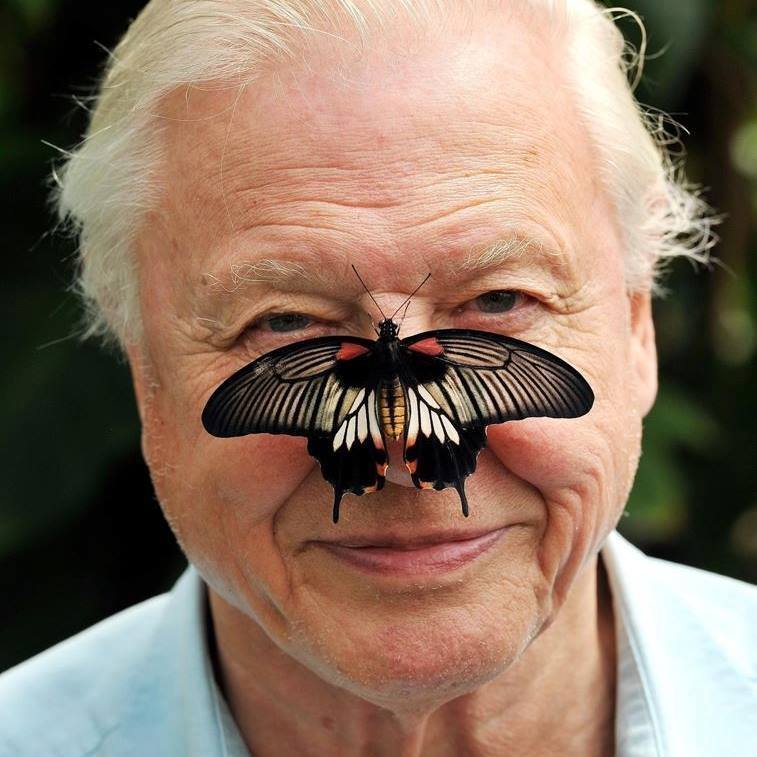 Sir David Attenborough's Speech At Katowice:  Why It Should Matter To Christians!