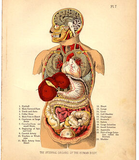 Thought For The Day.