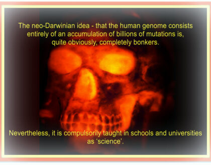 Oddities and Realisms?
