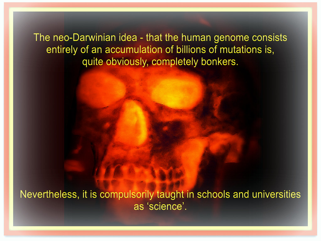 Oddities and Realisms?